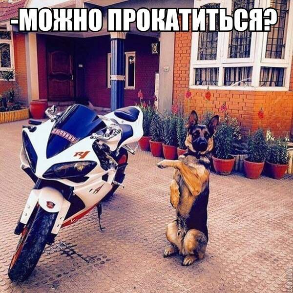 Мне не поверили?!