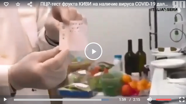 ПЦР-тест фрукта киви на наличие вируса COVID-19 дал положительный  результат
