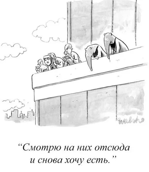 Шутки в картинках