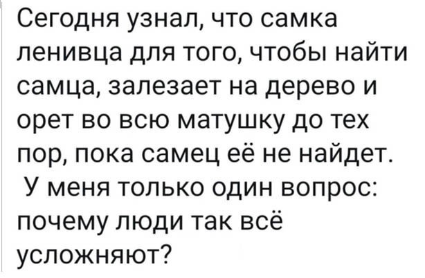 Так себе картинки 08.05.22