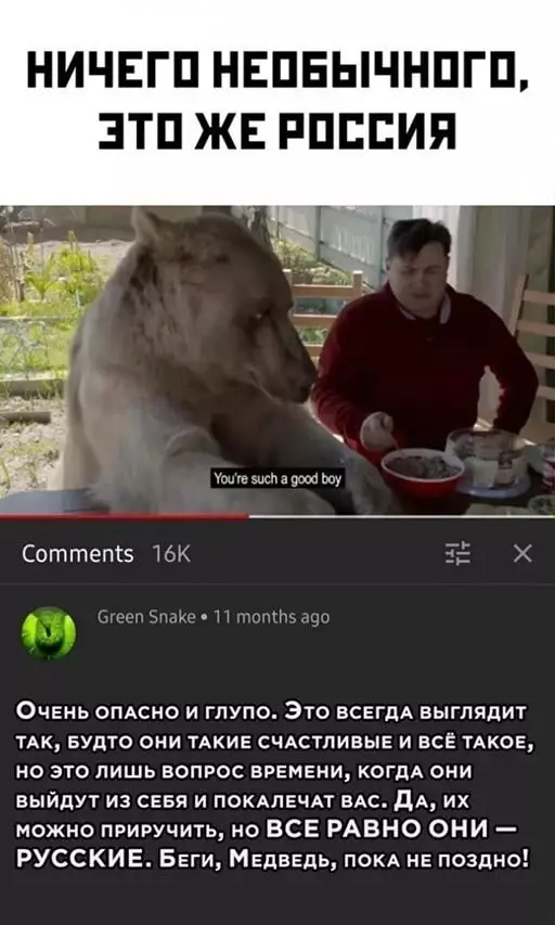 16871349.webp