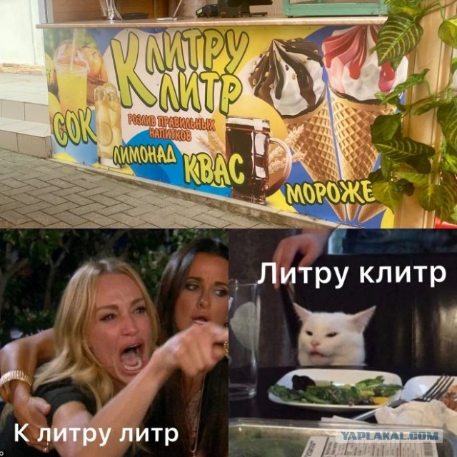 Картинки и мемы. Выходные близко, близко...