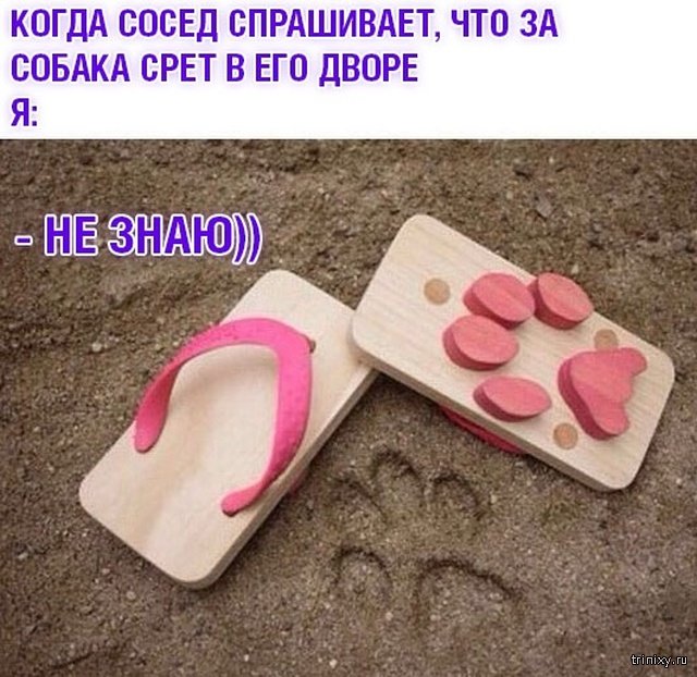 Картинки и надписи всякие на злобу дня и на доброту (05.08)