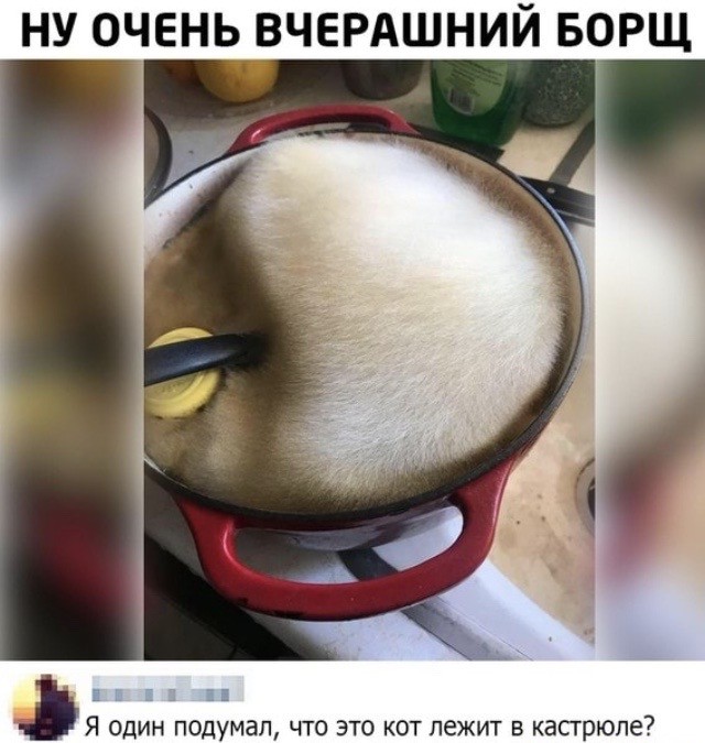 Картинки и мемы для настроения - 131