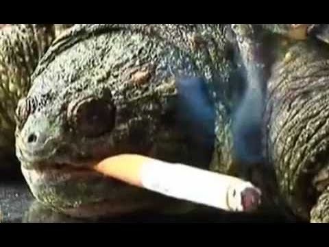 Еще чуть чуть и пообедаю