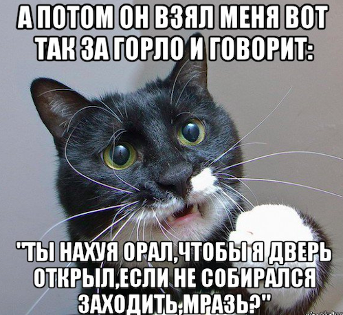 Бессистемно: картинки, лайфаки, баяны…