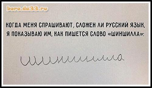 Иностранец о Русском языке