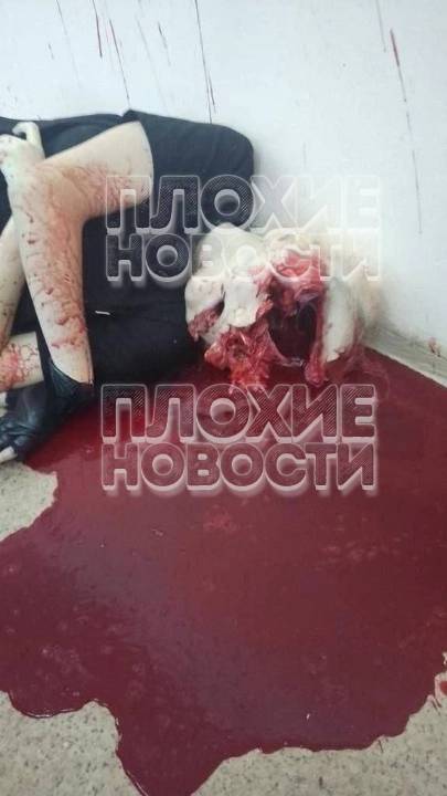 Школьница устроила стрельбу в брянской школе