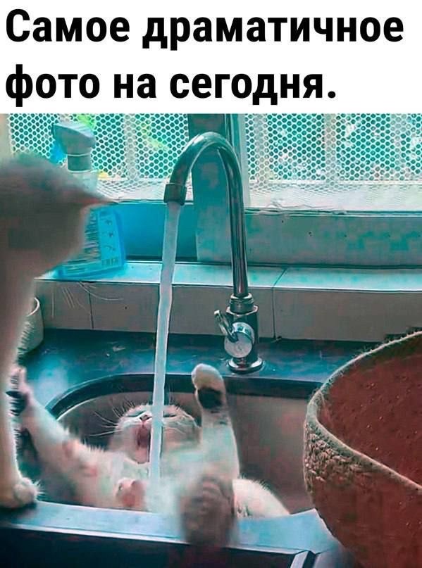 Так себе картинки 20.01.24