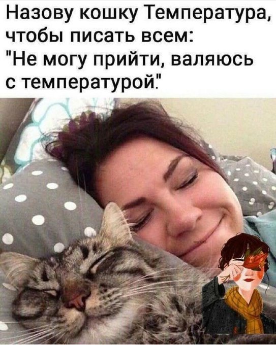 Всего понемногу. От 24.01.24