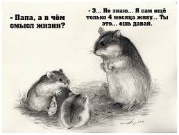 Не очень адекватный юмор
