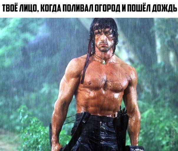 Веселые картинки в пятницу (07.08)