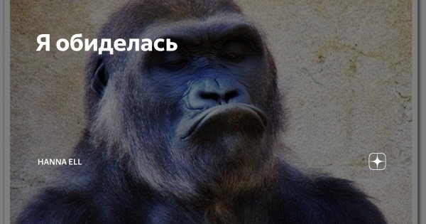 Пора всем переходить с авито на другие доски объявлений менее зажравшихся сервисов.