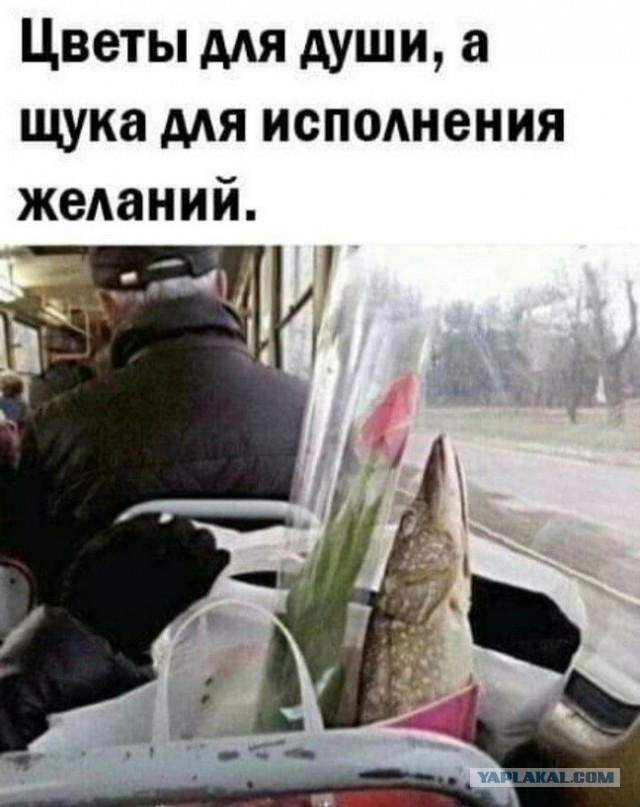 Так себе картинки 04.01.26