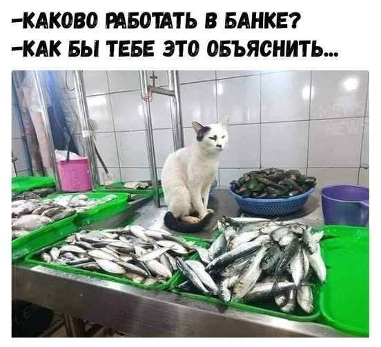 Забавные и не очень скромные картинки - 25