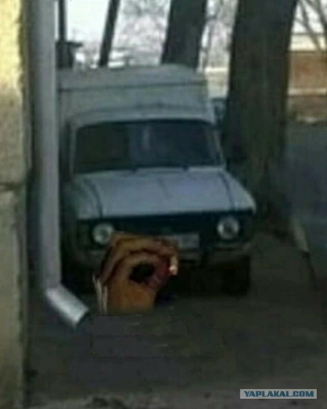 Картинки для деградации 137 (разной степени свежести)