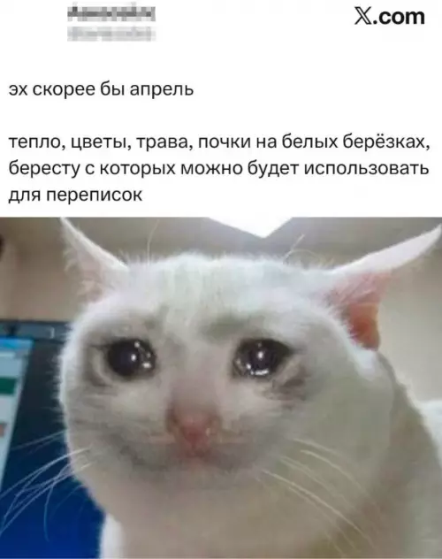 Картиночки, баянчики 27 февраля