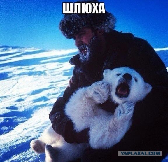 Хорошо отдохнула!