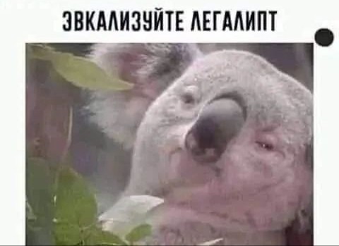 Утомилсо