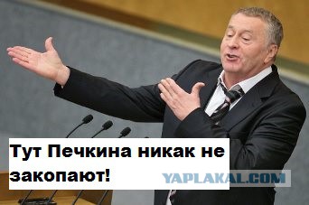 Владимир Вольфович негодует