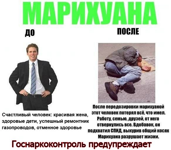 Грибы России