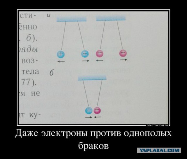 Забавные картинки и комменты из соцсети