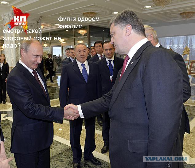 Кто кого боится видно сразу
