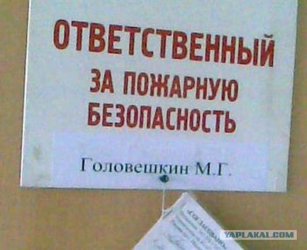 20 случаев, когда фамилия и профессия созданы друг
