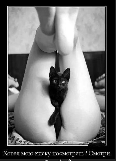 Демотиваторы вторника