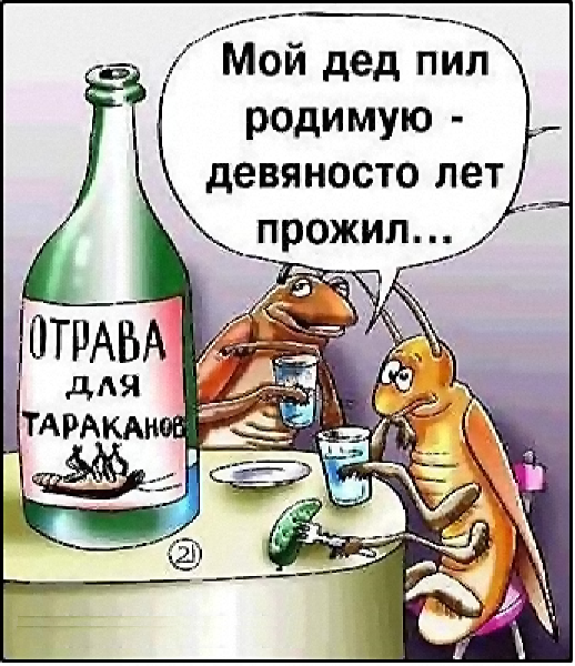 Как муравей пьет самогон