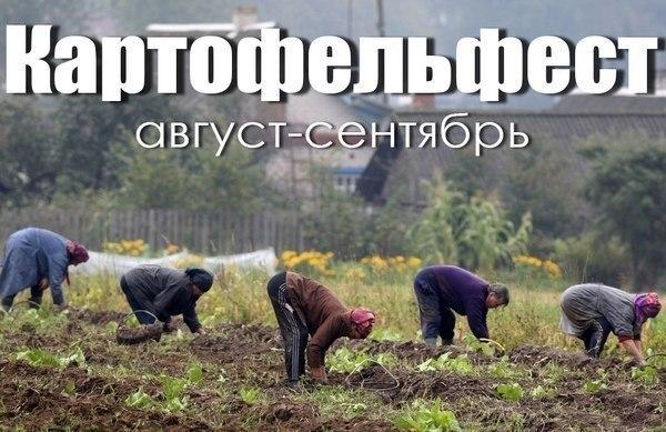 Поклонская запретила фестиваль «Бифуз» в Крыму, в ночь открытия. ex-«КаZантип»