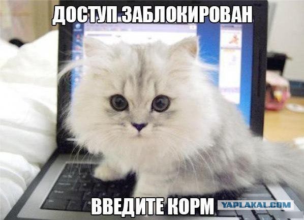 Картинки разные