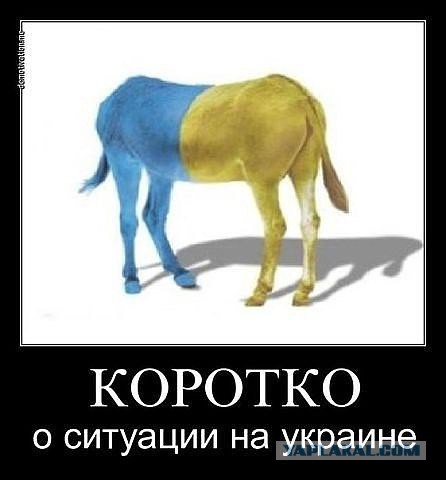 Митингующие в Киеве штурмуют здание Рады