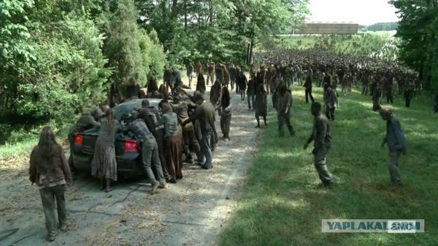 "Джунгли" сожгли, но это не помогло.
