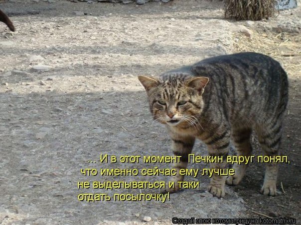 Картинки и демотиваторы