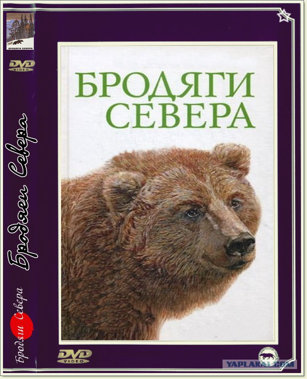 Детские фильмы, которые сейчас не увидишь на ТВ