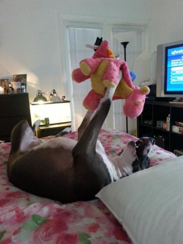 WTF: Что тут происходит?