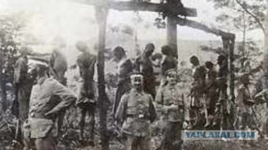 Первые немецкие опыты с геноцидом