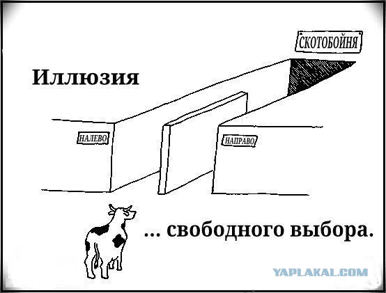 Замена Путину? А кто он, кандидат?
