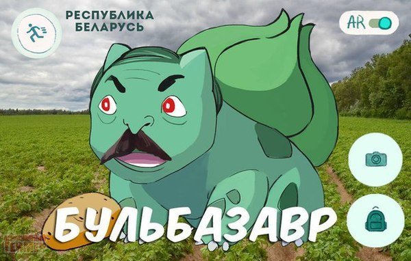 Порция позитива на вторник