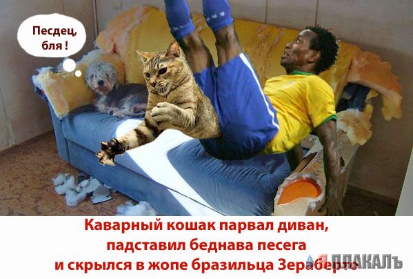Бразилия-Франция