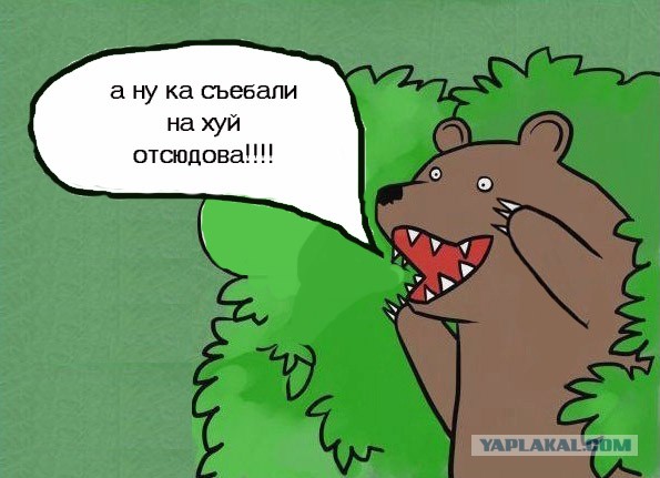 Погнали наши городских!