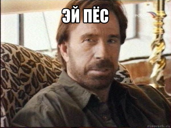 Актёры культовой ленты "ДМБ", чем заняты сейчас актеры