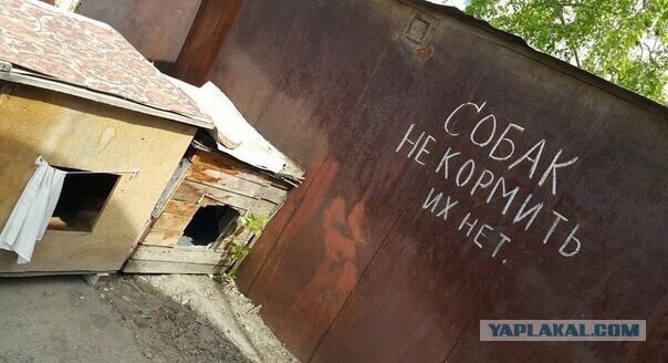 Привет из соцсетей