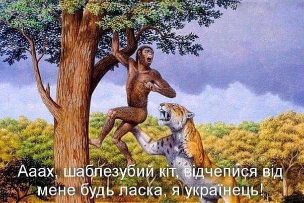Украина готовится к новой войне, заявили в МИД России