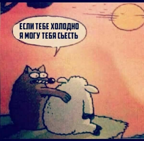 Заяц у тебя к шерсти прилипает картинка