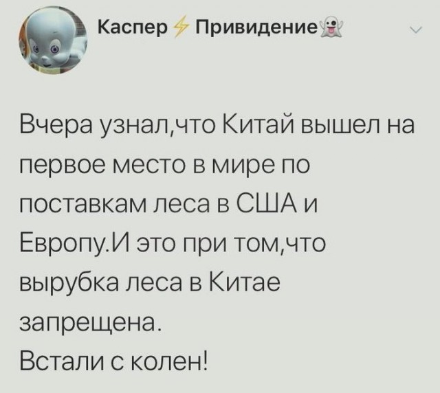 Китайская газета об экспорте леса из России: Сибирь является территорией КНР