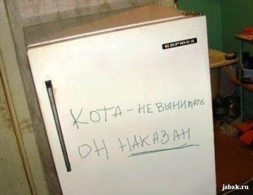 Видите кошку? А она там есть!