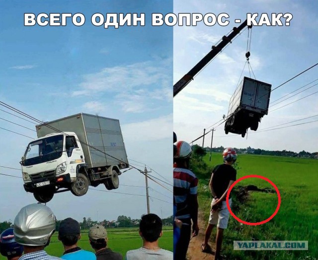 Картинок вам на субботний вечер