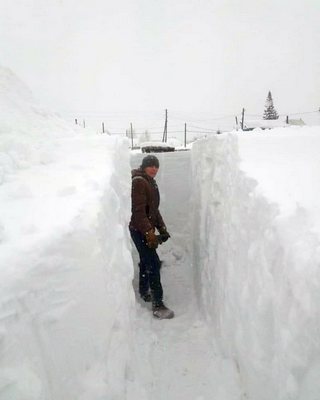 В Канаде за сутки выпало 3 метра снегу